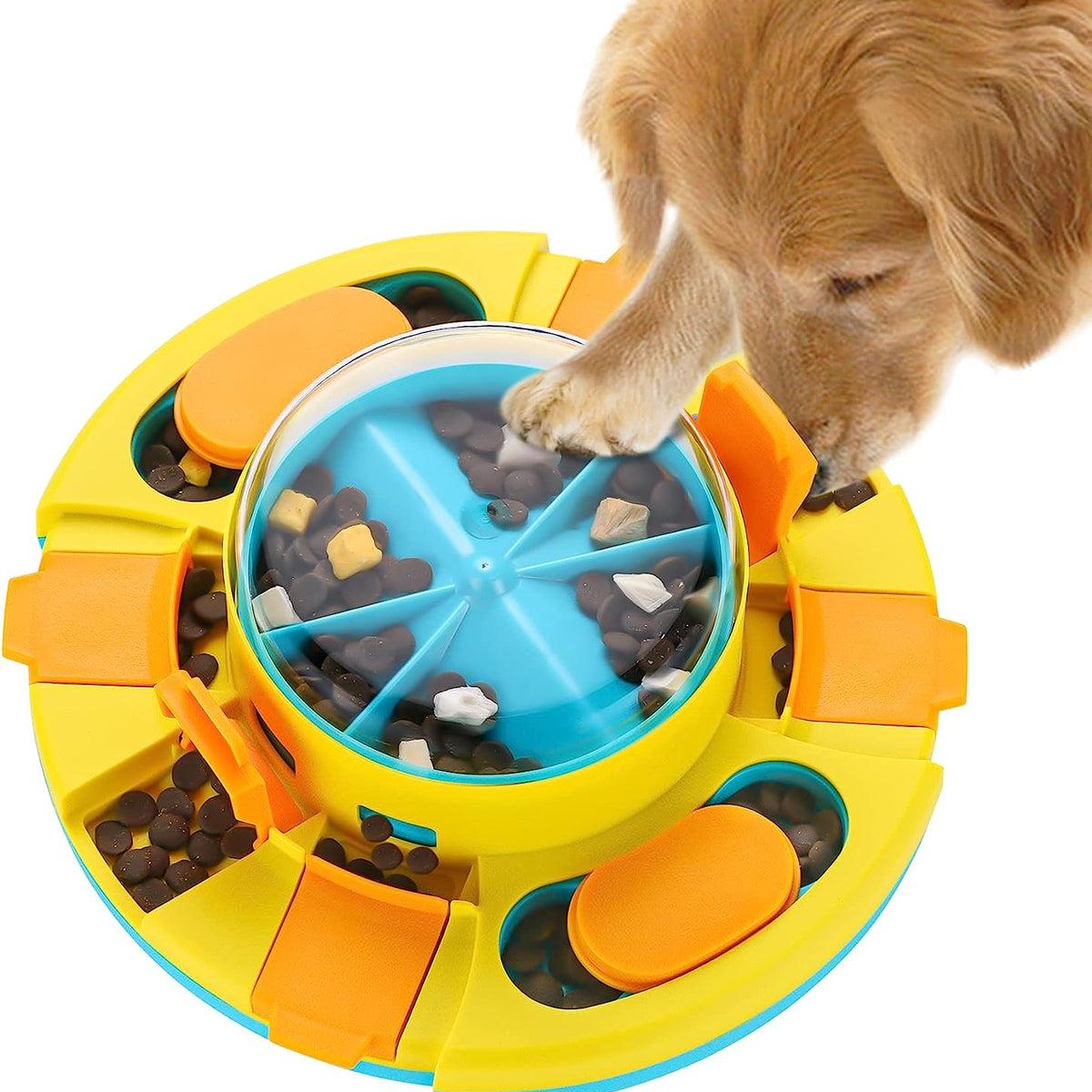 Dog Enrichment Treats Ideas for Mental Stimulation