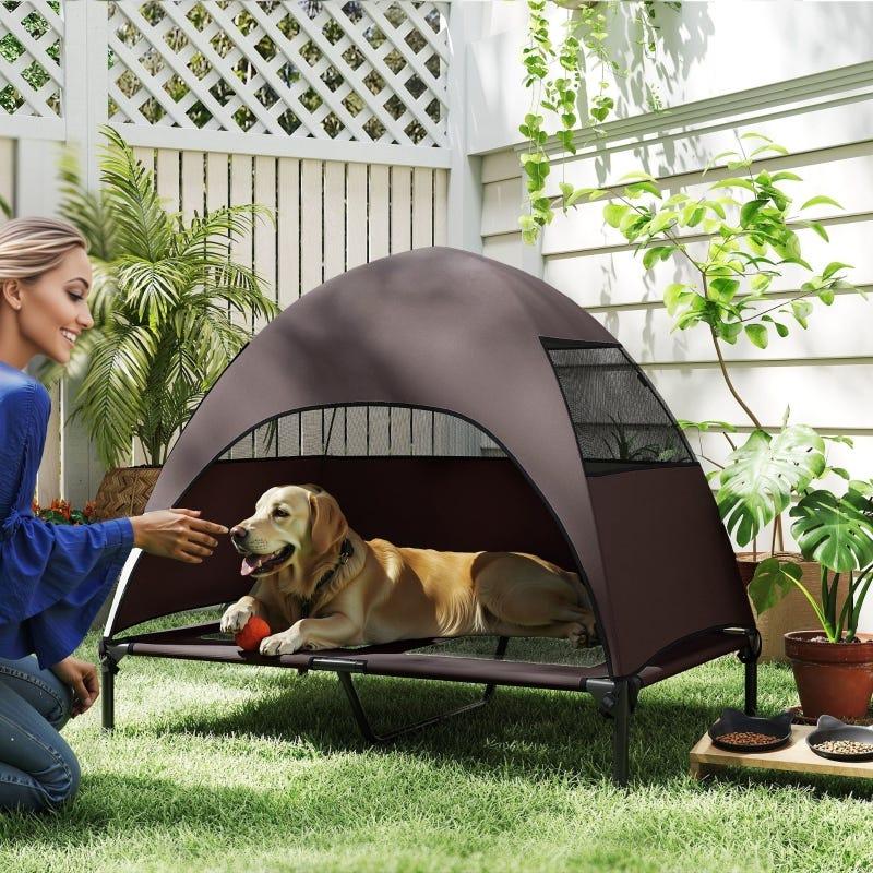 Dog resting in comfortable outdoor corner