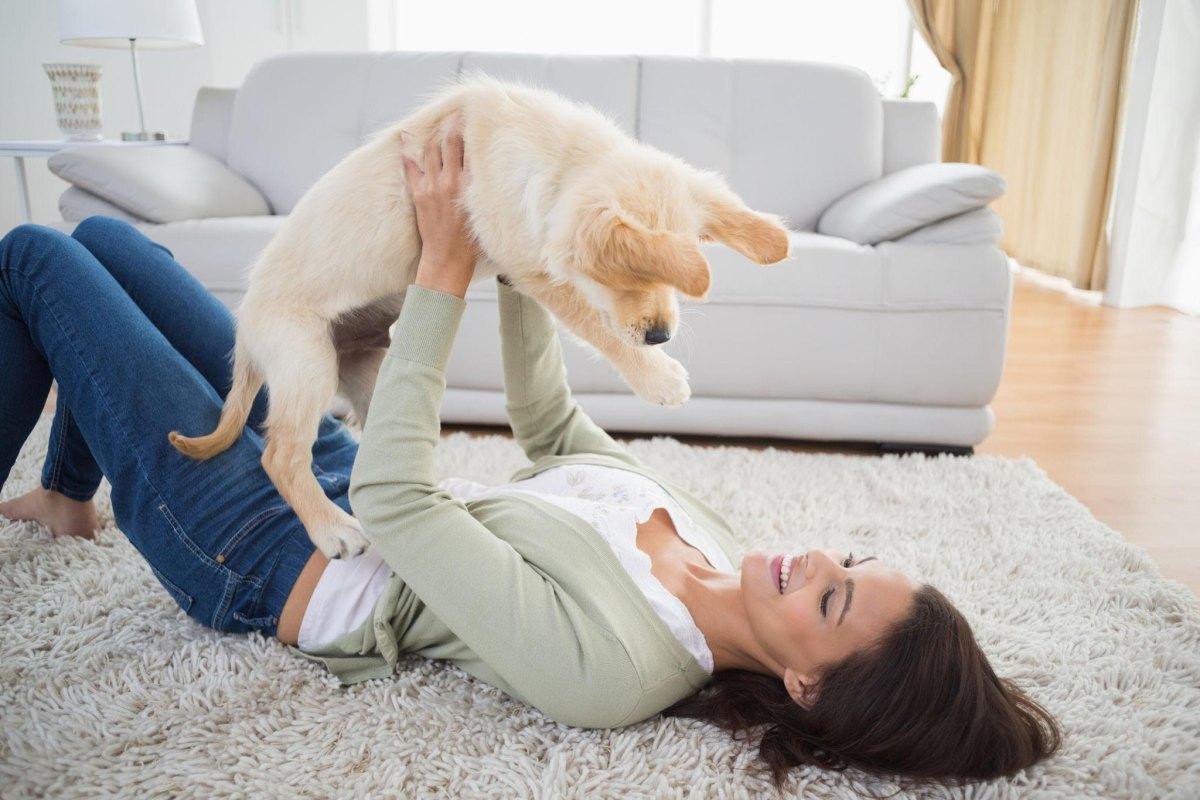 Puppy relaxing with owner