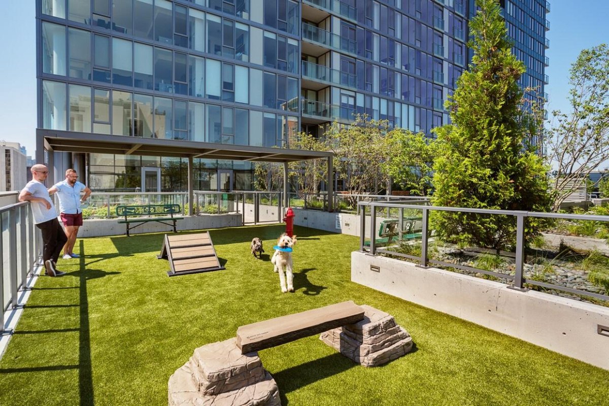 Rooftop dog exercise area