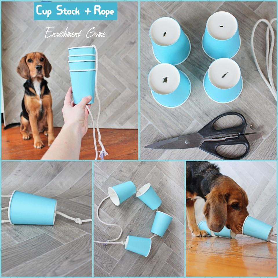 Rope puzzle treat dog toy