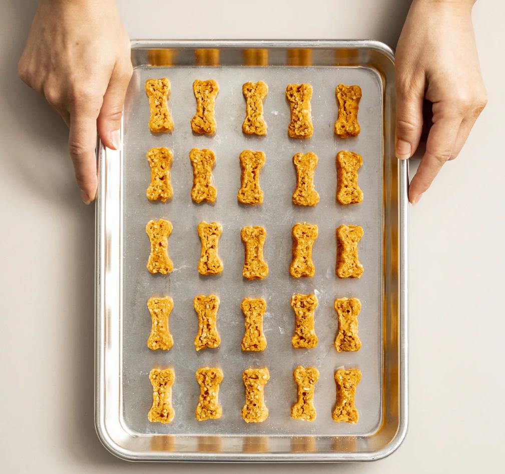 Salmon oat treats for older dogs