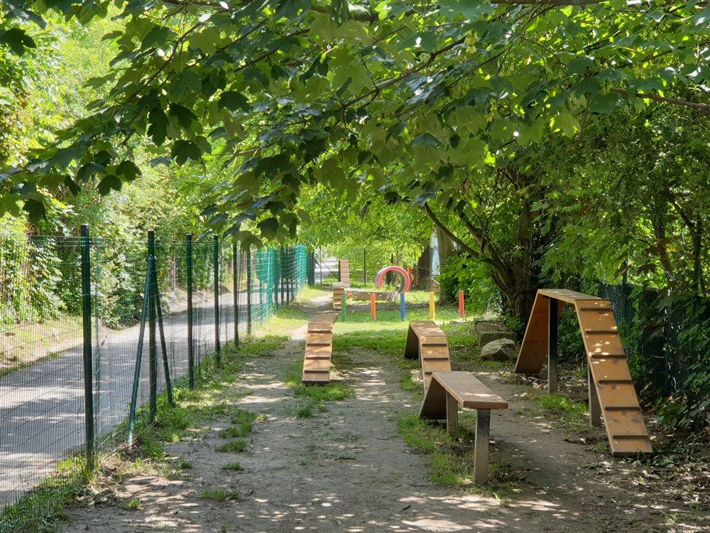 Shaded outdoor dog exercise area