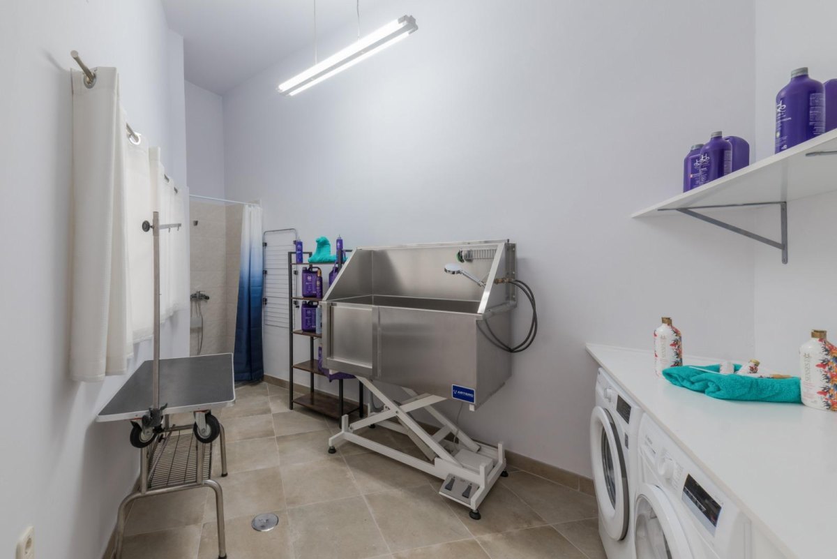 Small dog grooming room with wash station