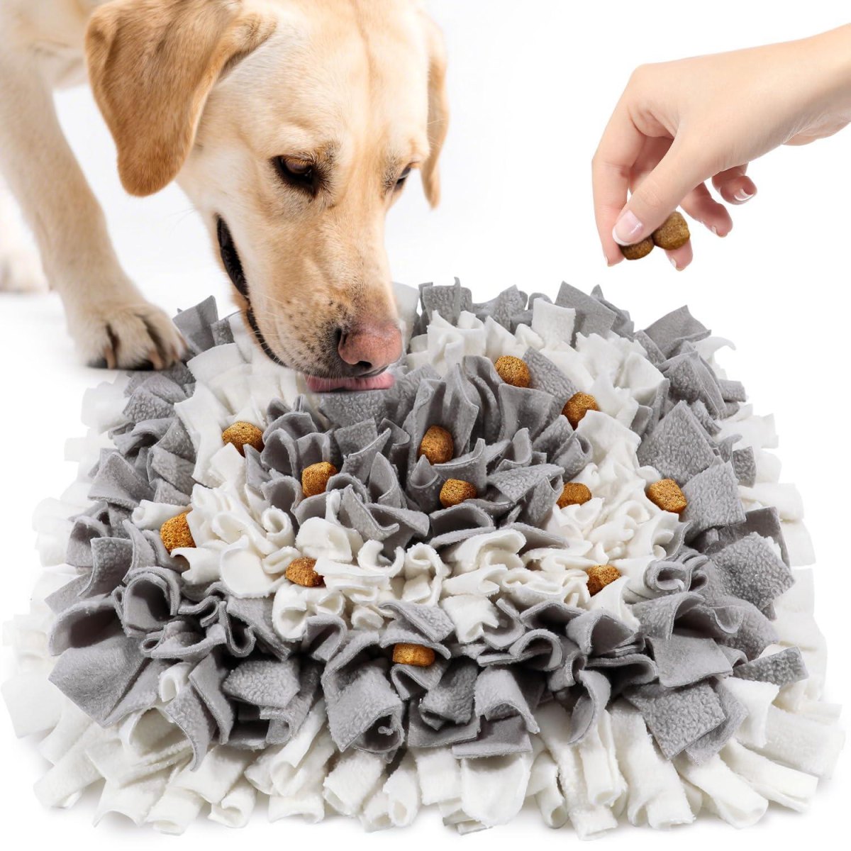 Dog searching snuffle mat treats