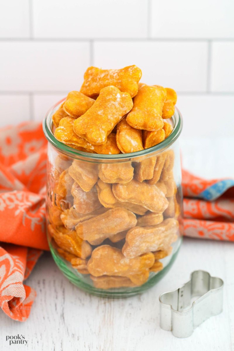 Soft pumpkin puppy treats