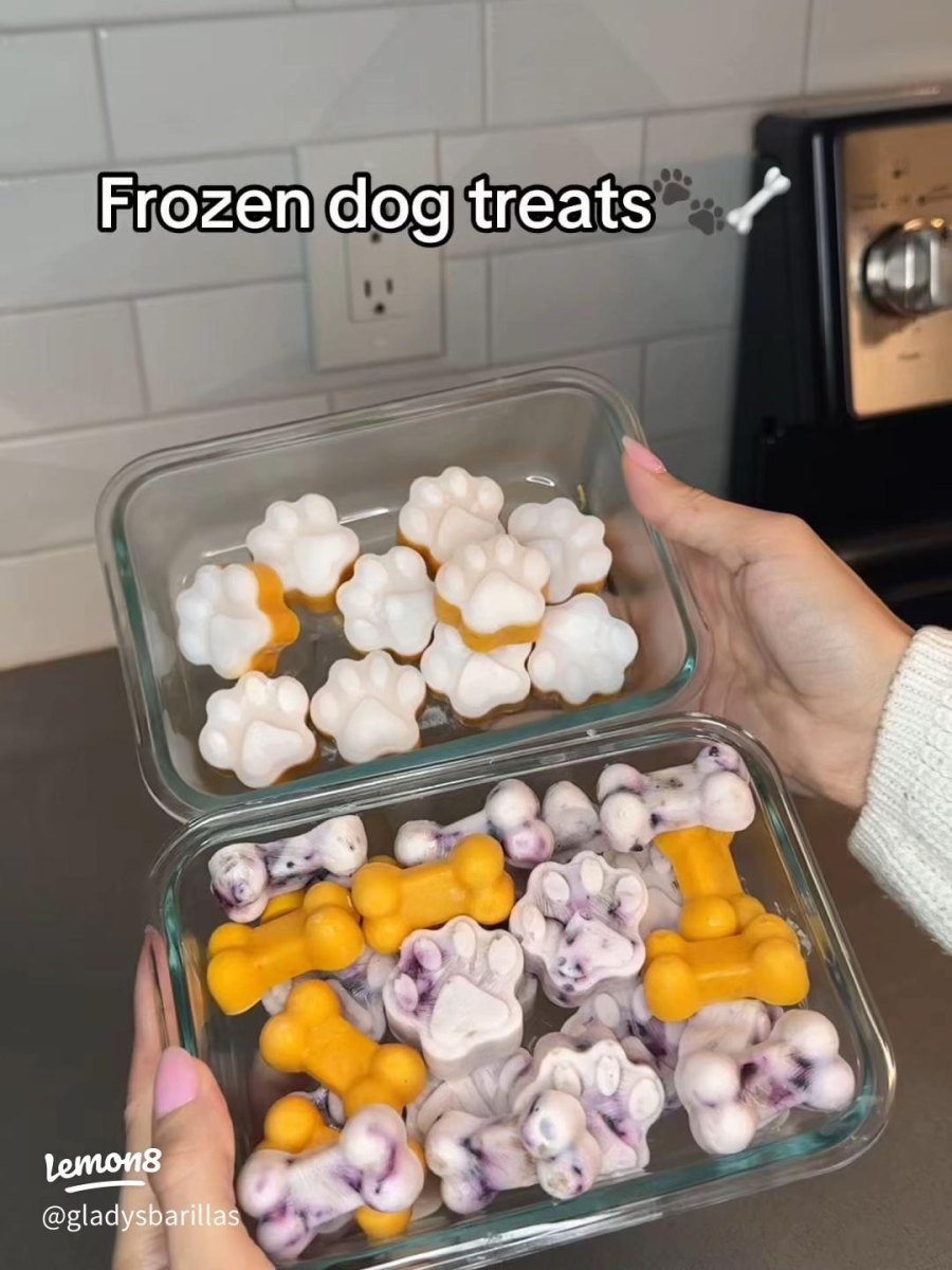Frozen dog treats in freezer container