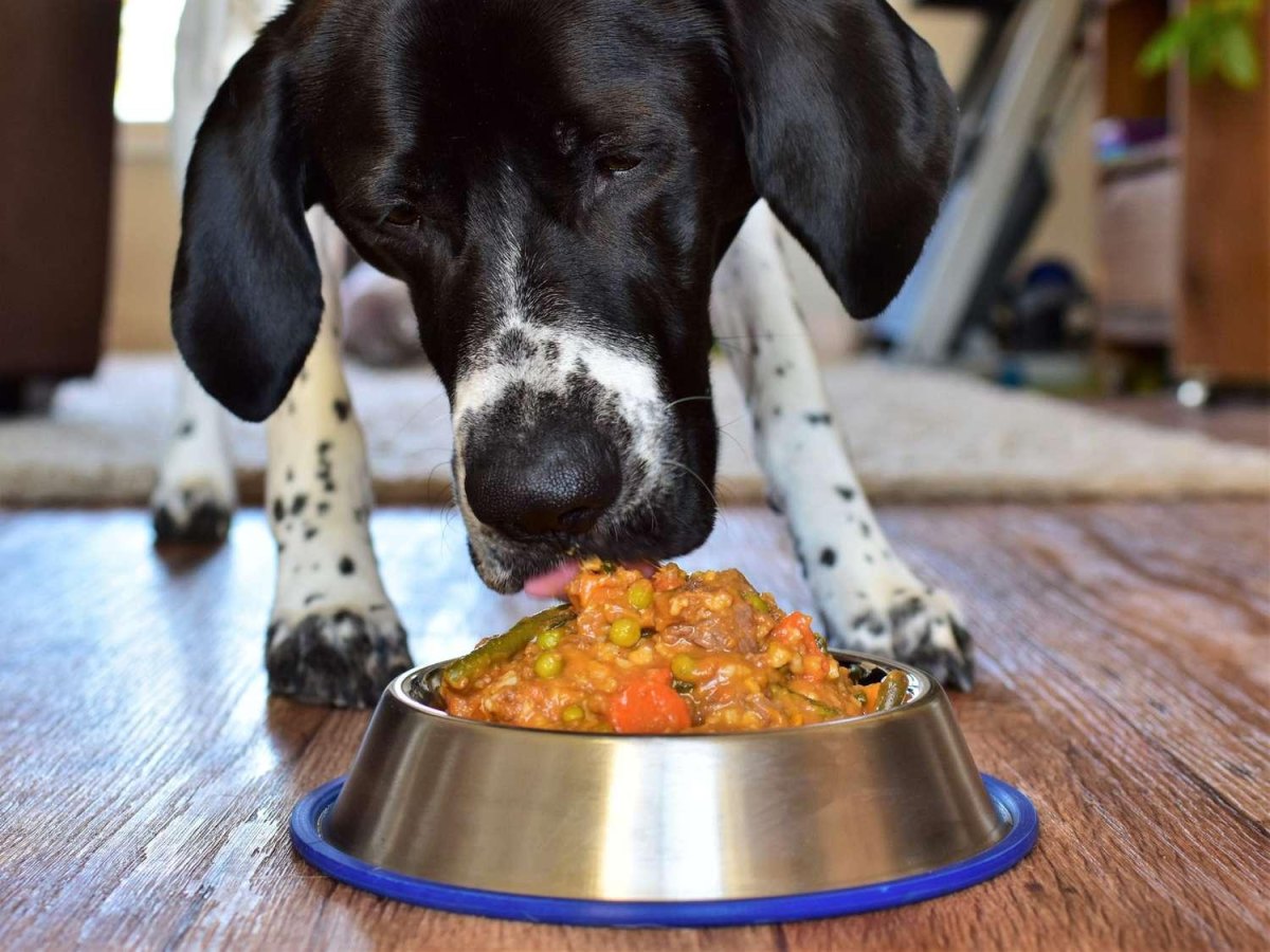 Sweet potato and vegetable dog food with broccoli and carrots