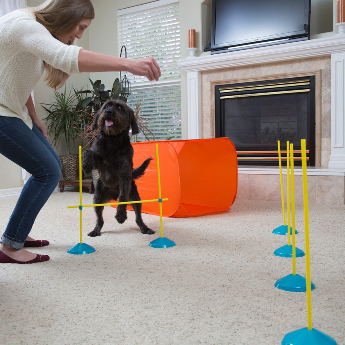 Dog owner guiding indoor activity