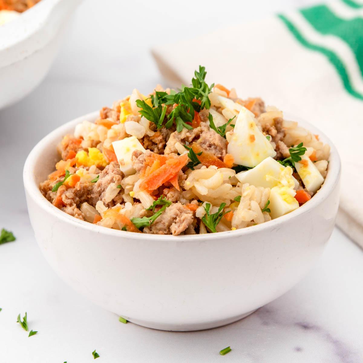Homemade Senior Dog Food Recipes for Older Dogs