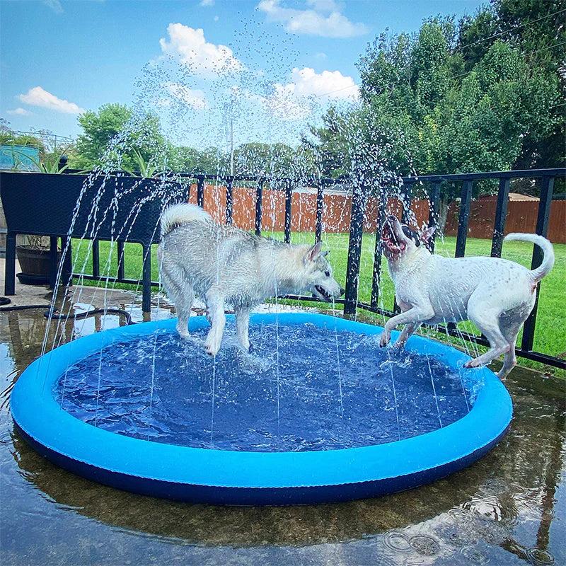 Dog enjoying outdoor water play pool