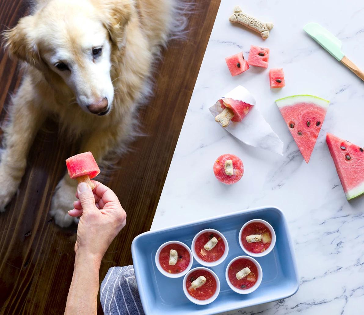Watermelon ice pops made for dogs
