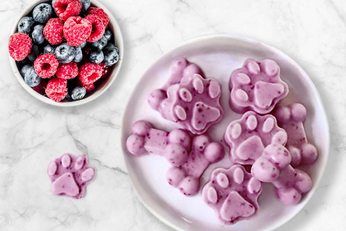Yogurt berry frozen paw treats
